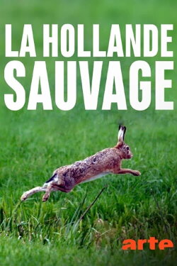 La Hollande sauvage - Dans l'oeil du delta (2017) La Hollande sauvage - Dans l'oeil du delta (2017)