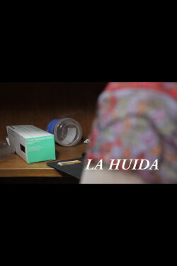 La huida (2017)