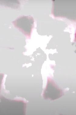 La La La (2020) La La La (2020)