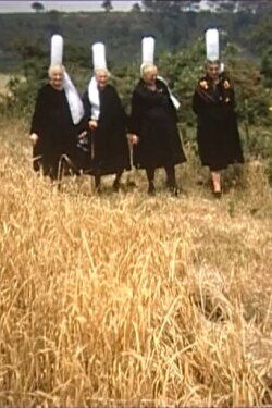 La langue bretonne (1976) La langue bretonne (1976)