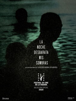 La Noche Desbarata mis Sombras (2020) La Noche Desbarata mis Sombras (2020)