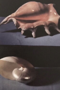 La Piccola Noia (1966) La Piccola Noia (1966)