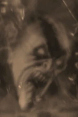 La prière genital (2009) La prière genital (2009)