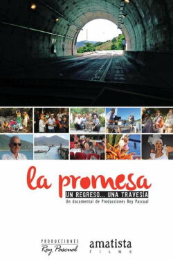 La promesa (2014) La promesa (2014)