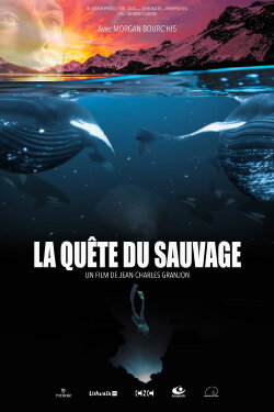 La Quête du sauvage (2020) La Quête du sauvage (2020)