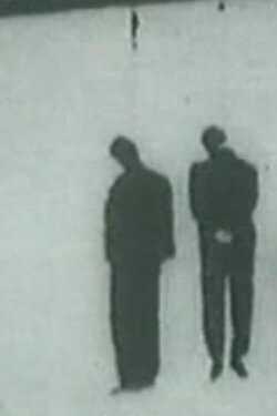 La quieta febbre (1964)