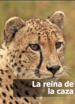 La reina de la caza (2016) La reina de la caza (2016)