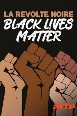 La révolte noire - Black Lives Matter (2021) La révolte noire - Black Lives Matter (2021)