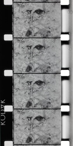 La Source de la Loire (1970)