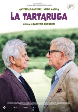 La tartaruga (2024)