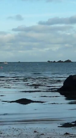 La Terre (2012)