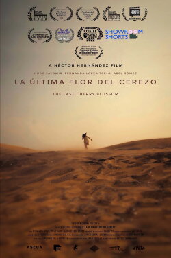 La Última Flor Del Cerezo (2022) La Última Flor Del Cerezo (2022)