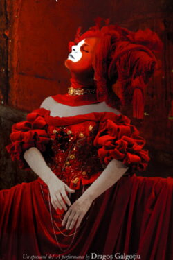 La vida es sueño (2001) La vida es sueño (2001)