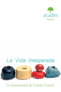 La vida inesperada (2012) La vida inesperada (2012)
