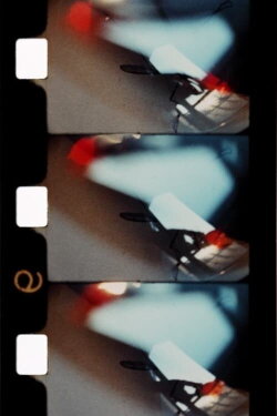 La vie brève de la flamme (1982) La vie brève de la flamme (1982)