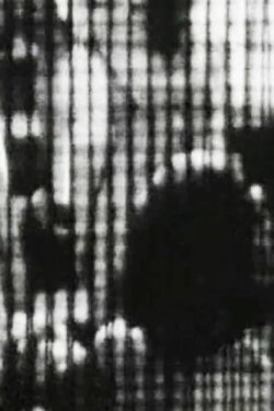 La vie complex (1995)