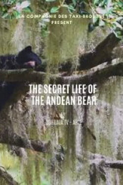 La vie secrète de l’ours à lunettes (2020) La vie secrète de l’ours à lunettes (2020)