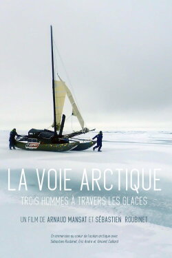 La Voie arctique - Trois hommes à travers les glaces (2020) La Voie arctique - Trois hommes à travers les glaces (2020)