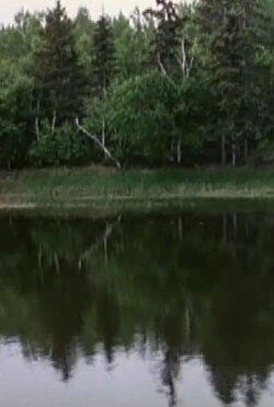 La voix des rivières (1997) La voix des rivières (1997)