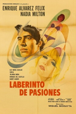 Labyrinth of Passion (1975)