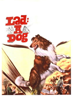 Lad: A Dog (1962) Lad: A Dog (1962)