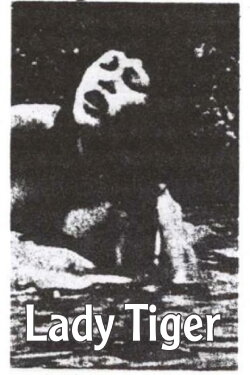 Lady Tiger (1989) Lady Tiger (1989)