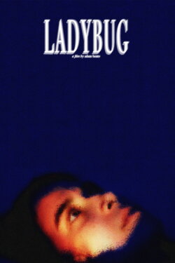 Ladybug (2023)