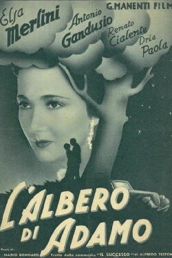 L'albero di Adamo (1936) L'albero di Adamo (1936)