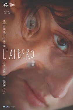 L'albero (2025) L'albero (2025)
