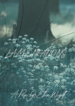 Lamentations (2024)