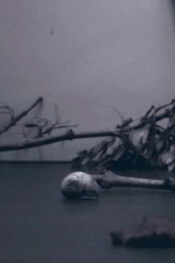 land (2015)