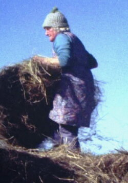 Land Makar (1981)