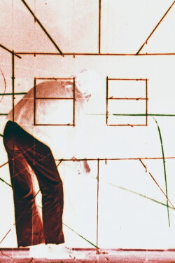 Landscape and Room (1980) Landscape and Room (1980)