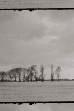 Landscape as Landscape (2021)