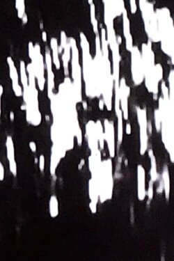 Landscape (2010)