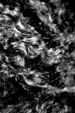 Landscape (Western Hemisphere) (2010)