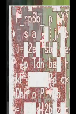 Language Virus (2009) Language Virus (2009)