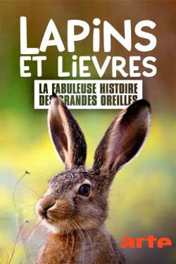 Lapins et lièvres - La Fabuleuse histoire des grandes oreilles (2020) Lapins et lièvres - La Fabuleuse histoire des grandes oreilles (2020)