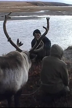 L'appel de la toundra (2003) L'appel de la toundra (2003)
