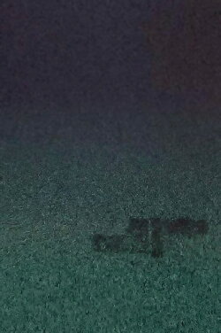 L'arbre (2021) L'arbre (2021)