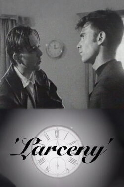 Larceny (1996)