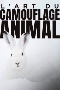 L'art du camouflage animal (2022)