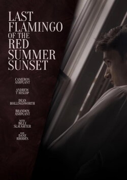 Last Flamingo of the Red Summer Sunset (2024) Last Flamingo of the Red Summer Sunset (2024)
