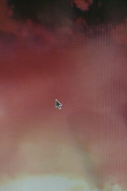 Late Embryo (2017)