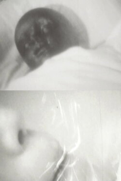 Lazy Virus Of The Afternoon (2011) Lazy Virus Of The Afternoon (2011)