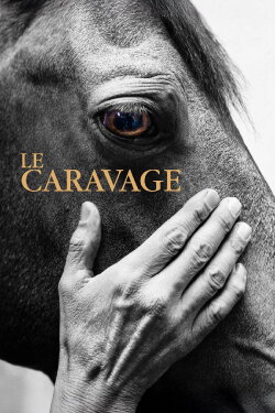 Le Caravage (2015)