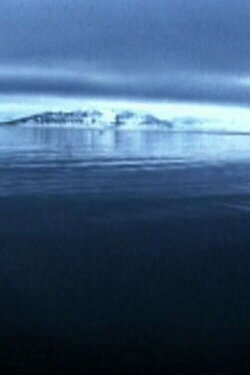 Le cercle (2005)