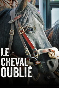 Le cheval oublié (2021)