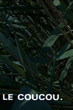 Le coucou (1963)