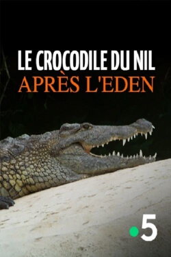 Le crocodile du Nil après l'eden (2011) Le crocodile du Nil après l'eden (2011)